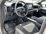 2025 Ford F-150 STX San Diego County CA