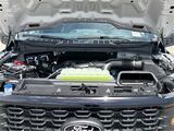 2025 Ford F-150 STX San Diego County CA