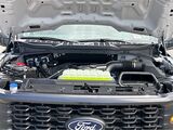 2025 Ford F-150 STX San Diego County CA