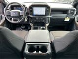 2025 Ford F-150 STX San Diego County CA