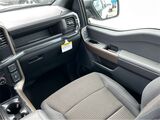 2025 Ford F-150 STX San Diego County CA