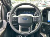 2025 Ford F-150 STX San Diego County CA