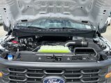 2025 Ford F-150 STX San Diego County CA