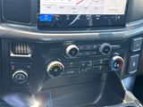 2025 Ford F-150 STX San Diego County CA