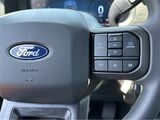 2025 Ford F-150 STX San Diego County CA