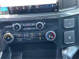 2025 Ford F-150 STX San Diego County CA