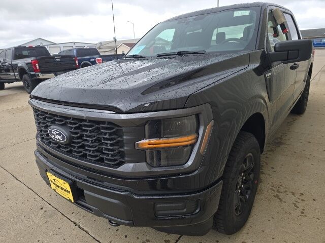 2025 Ford F-150 STX photo 4