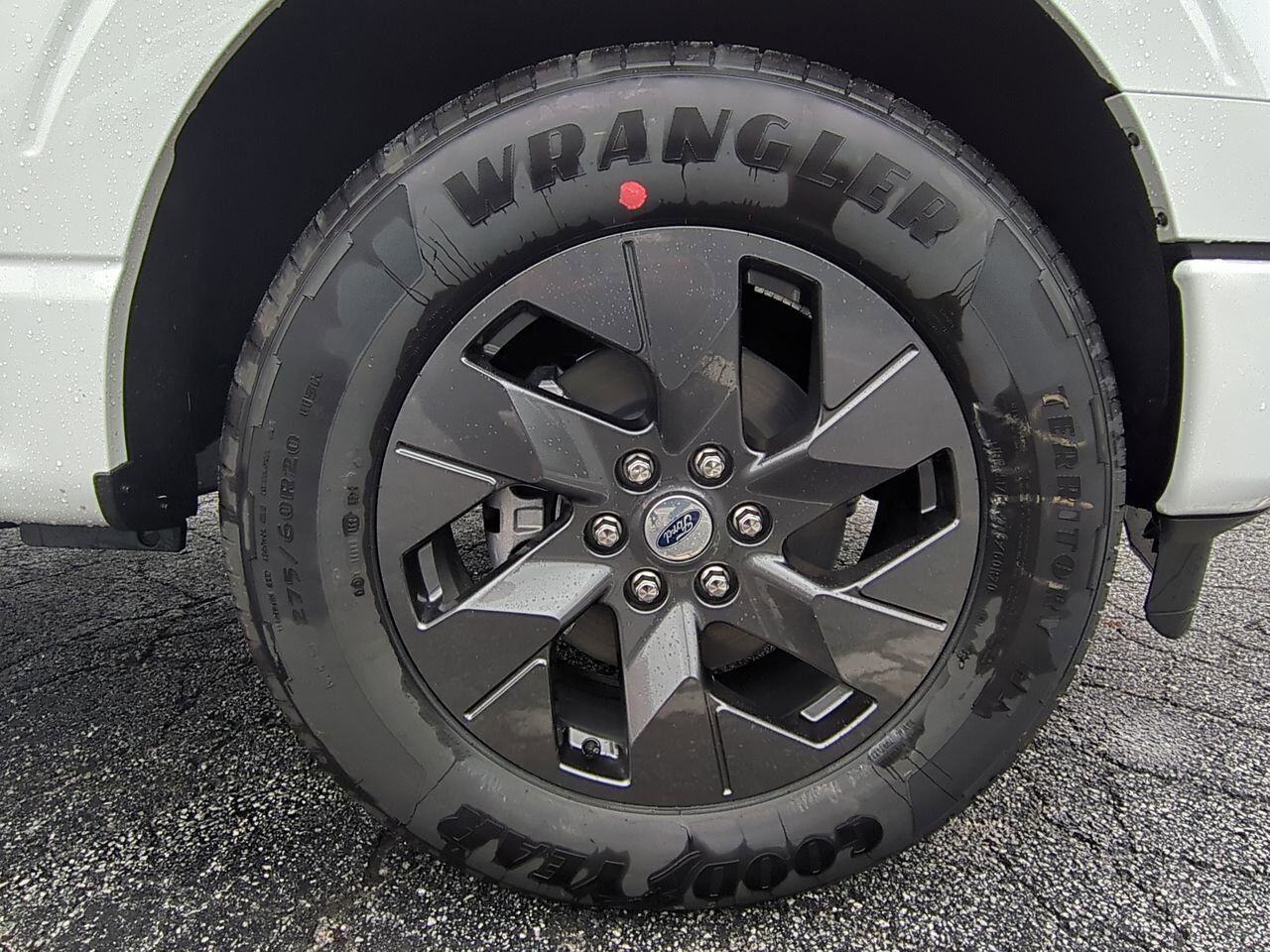 2025 Ford F-150 STX Winder GA