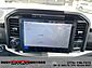 2025 Ford F-150 Tremor Elko NV