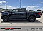2025 Ford F-150 Tremor Elko NV
