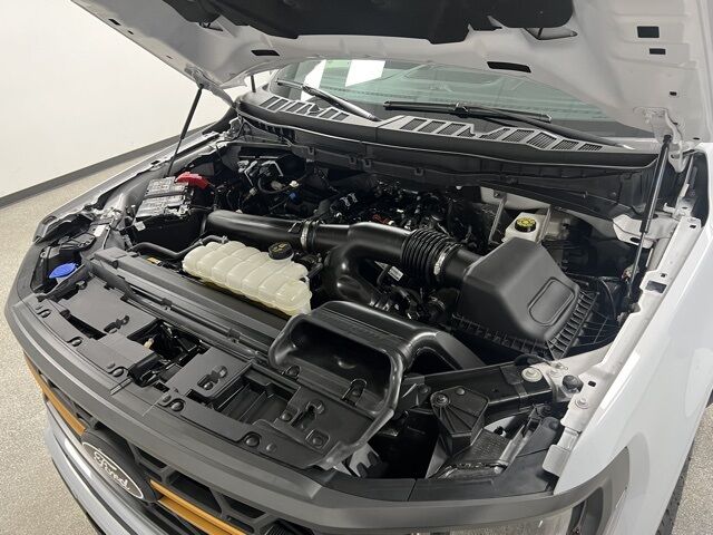 2025 Ford F-150 Tremor Highlands Ranch CO