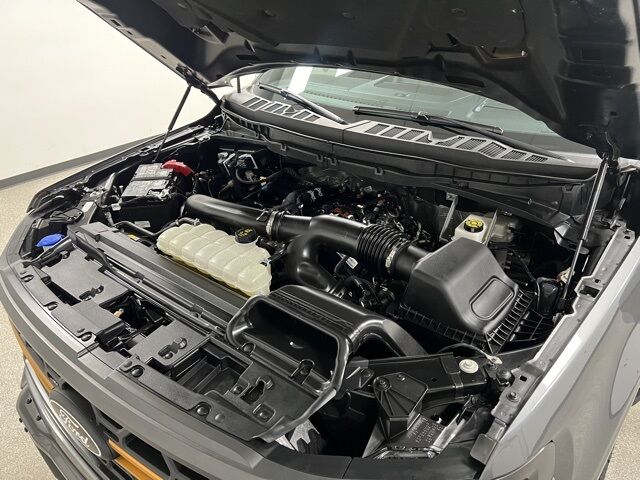 2025 Ford F-150 Tremor Highlands Ranch CO