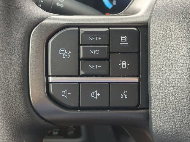 2025 Ford F-150 Tremor Appleton WI
