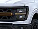 2025 Ford F-150 Tremor Oshkosh WI