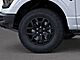 2025 Ford F-150 Tremor Oshkosh WI