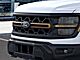 2025 Ford F-150 Tremor Oshkosh WI