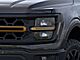 2025 Ford F-150 Tremor Oshkosh WI
