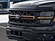 2025 Ford F-150 Tremor Oshkosh WI