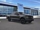 2025 Ford F-150 Tremor Oshkosh WI