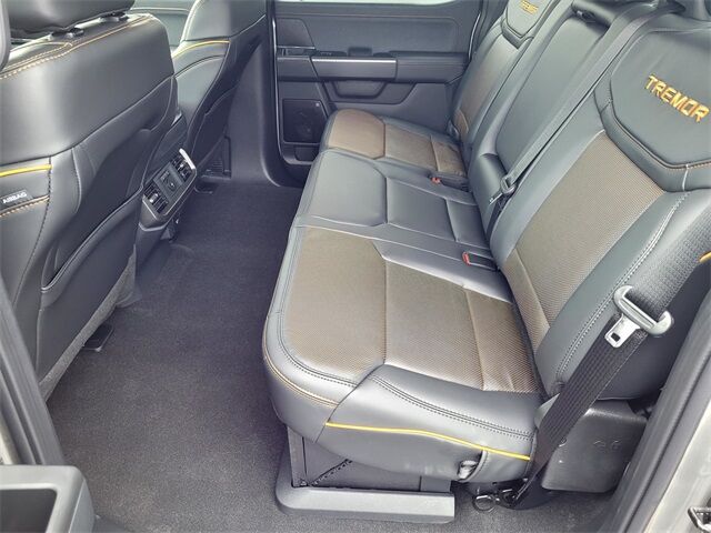 2025 Ford F-150 Tremor Roseville CA