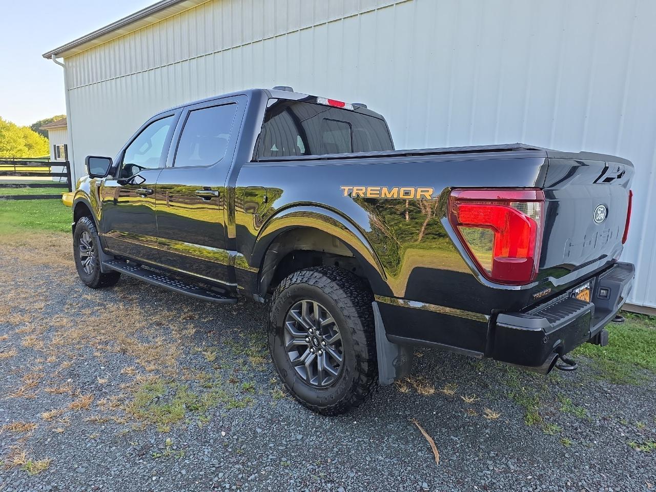 2025 Ford F-150 Tremor Sand Lake NY