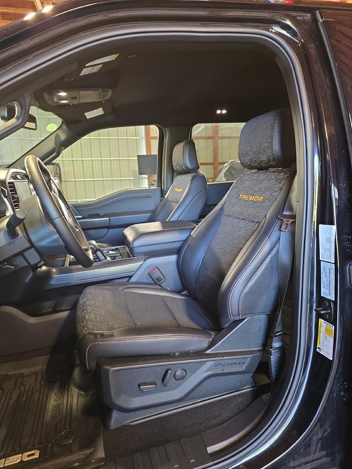 2025 Ford F-150 Tremor Sand Lake NY