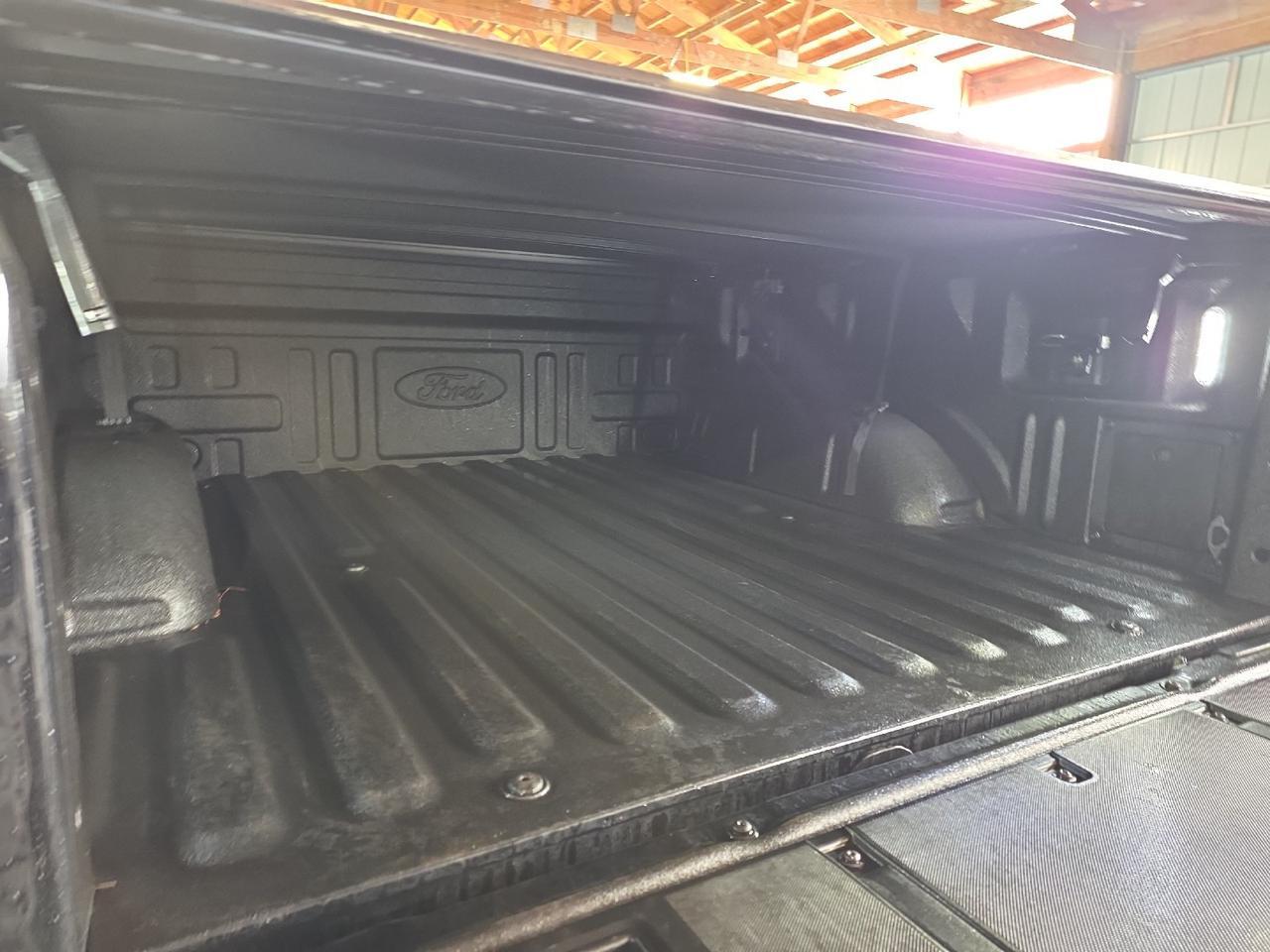 2025 Ford F-150 Tremor Sand Lake NY