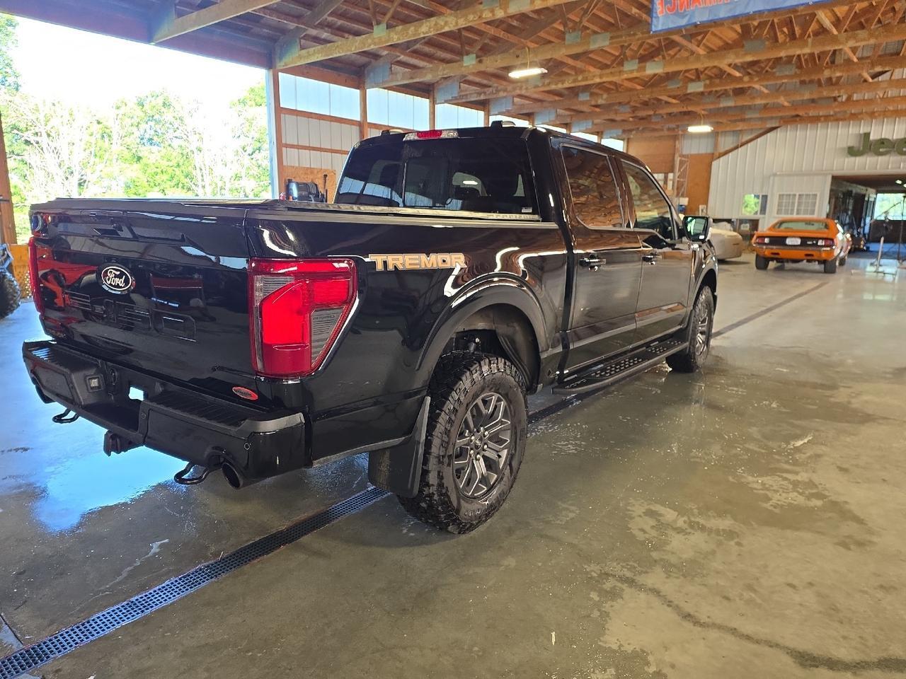 2025 Ford F-150 Tremor Sand Lake NY
