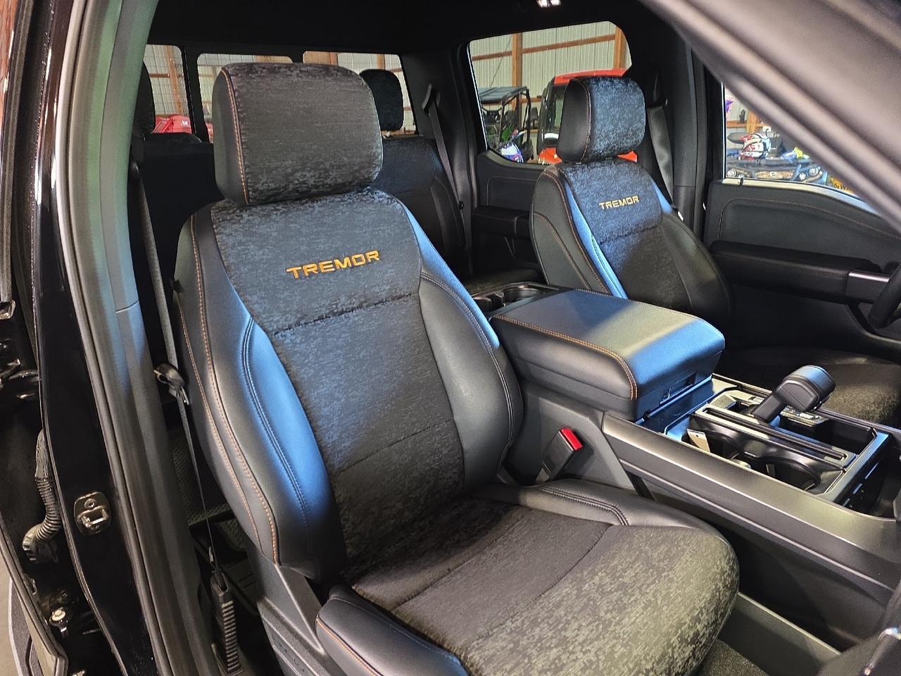 2025 Ford F-150 Tremor Sand Lake NY