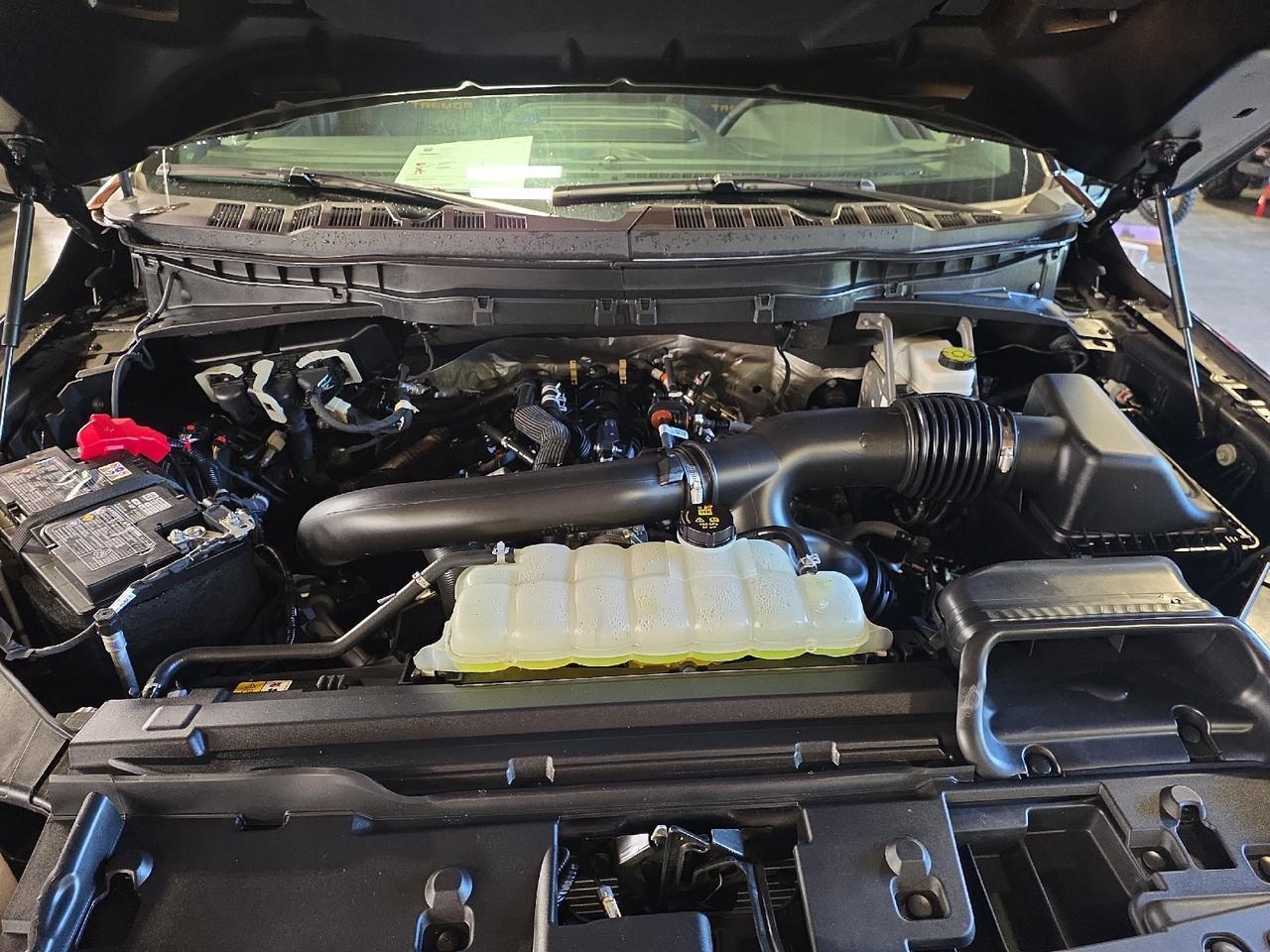 2025 Ford F-150 Tremor Sand Lake NY