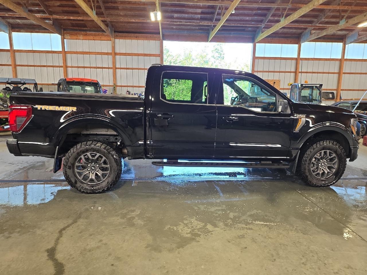 2025 Ford F-150 Tremor Sand Lake NY