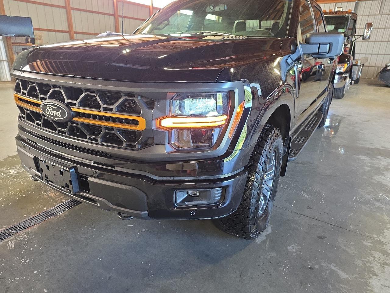 2025 Ford F-150 Tremor Sand Lake NY