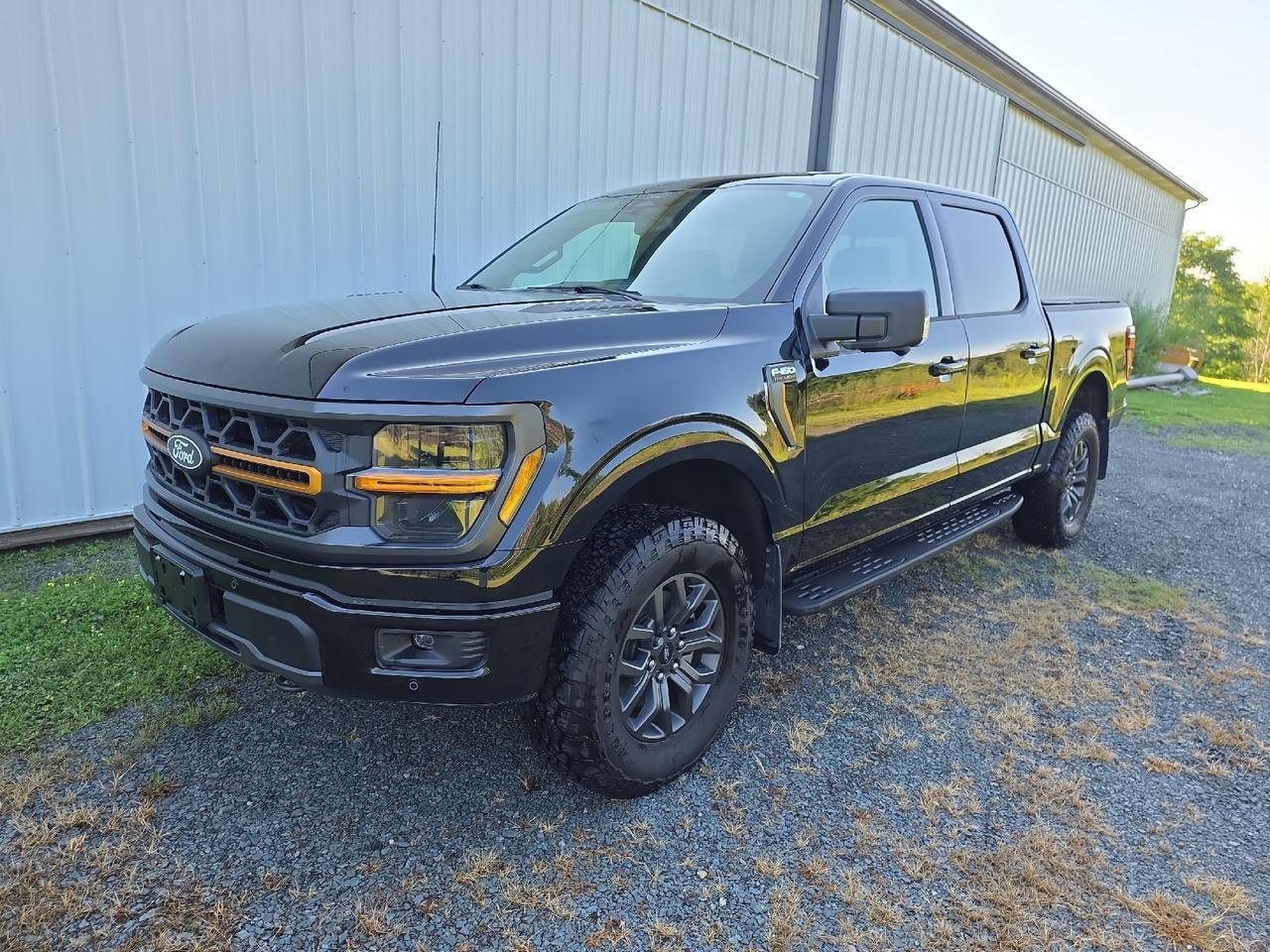 2025 Ford F-150 Tremor Sand Lake NY