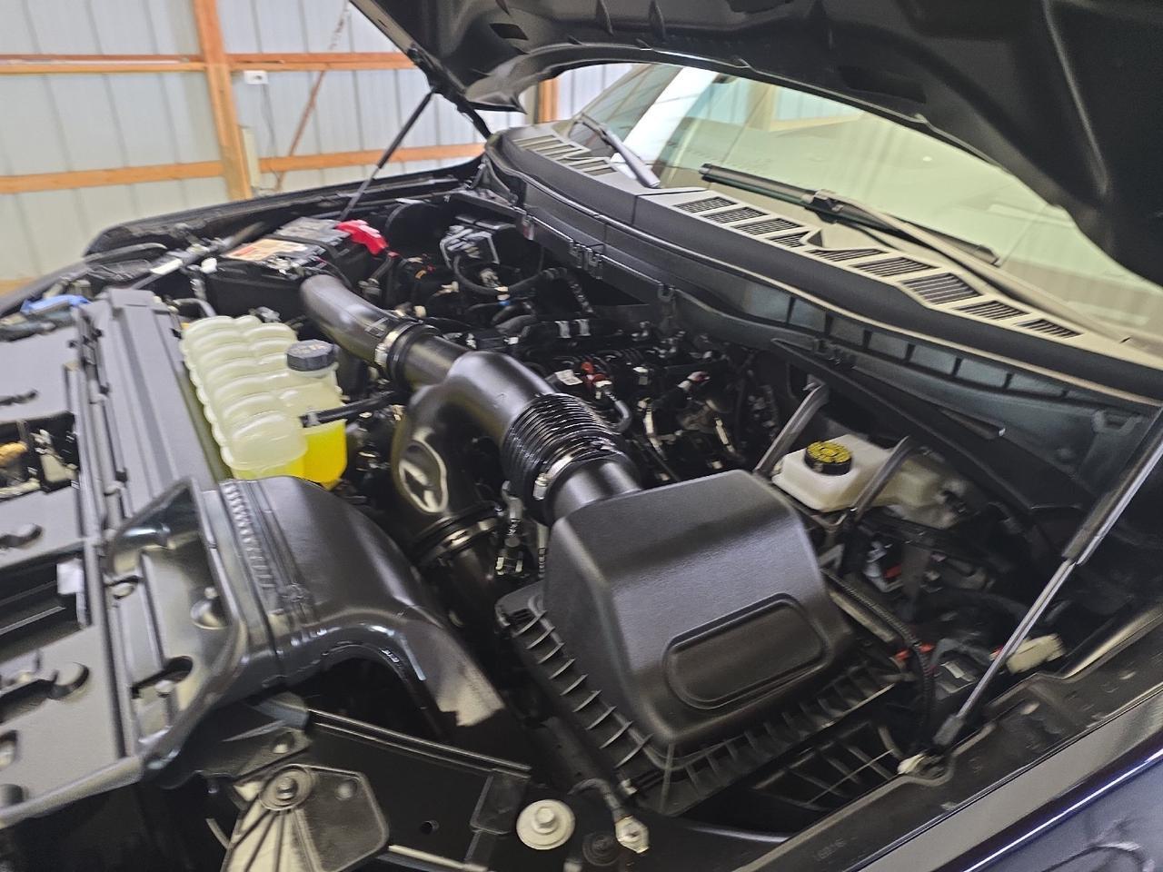 2025 Ford F-150 Tremor Sand Lake NY