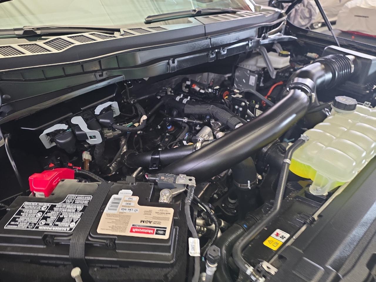 2025 Ford F-150 Tremor Sand Lake NY