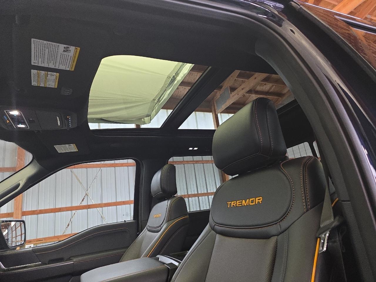 2025 Ford F-150 Tremor Sand Lake NY