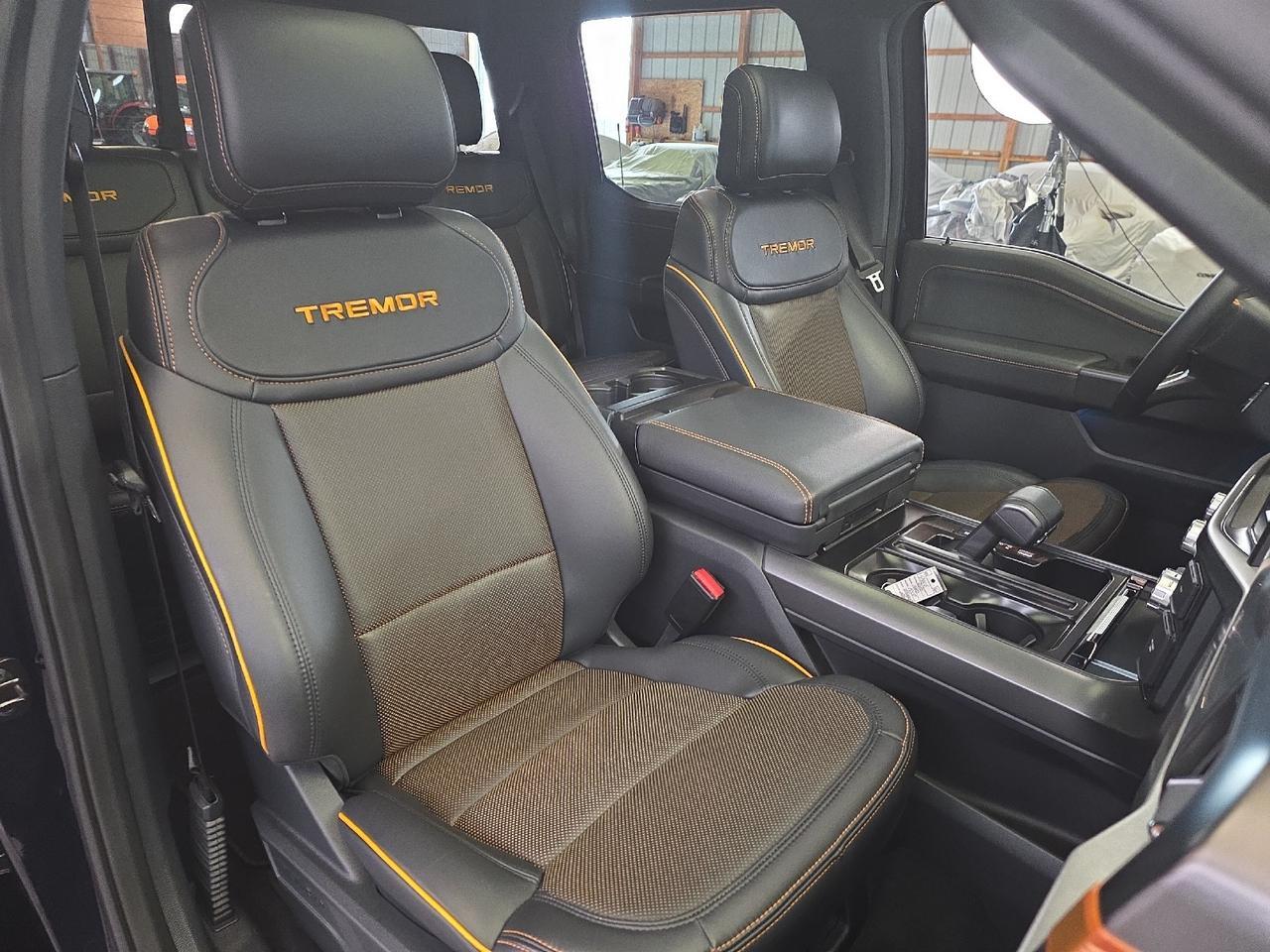 2025 Ford F-150 Tremor Sand Lake NY