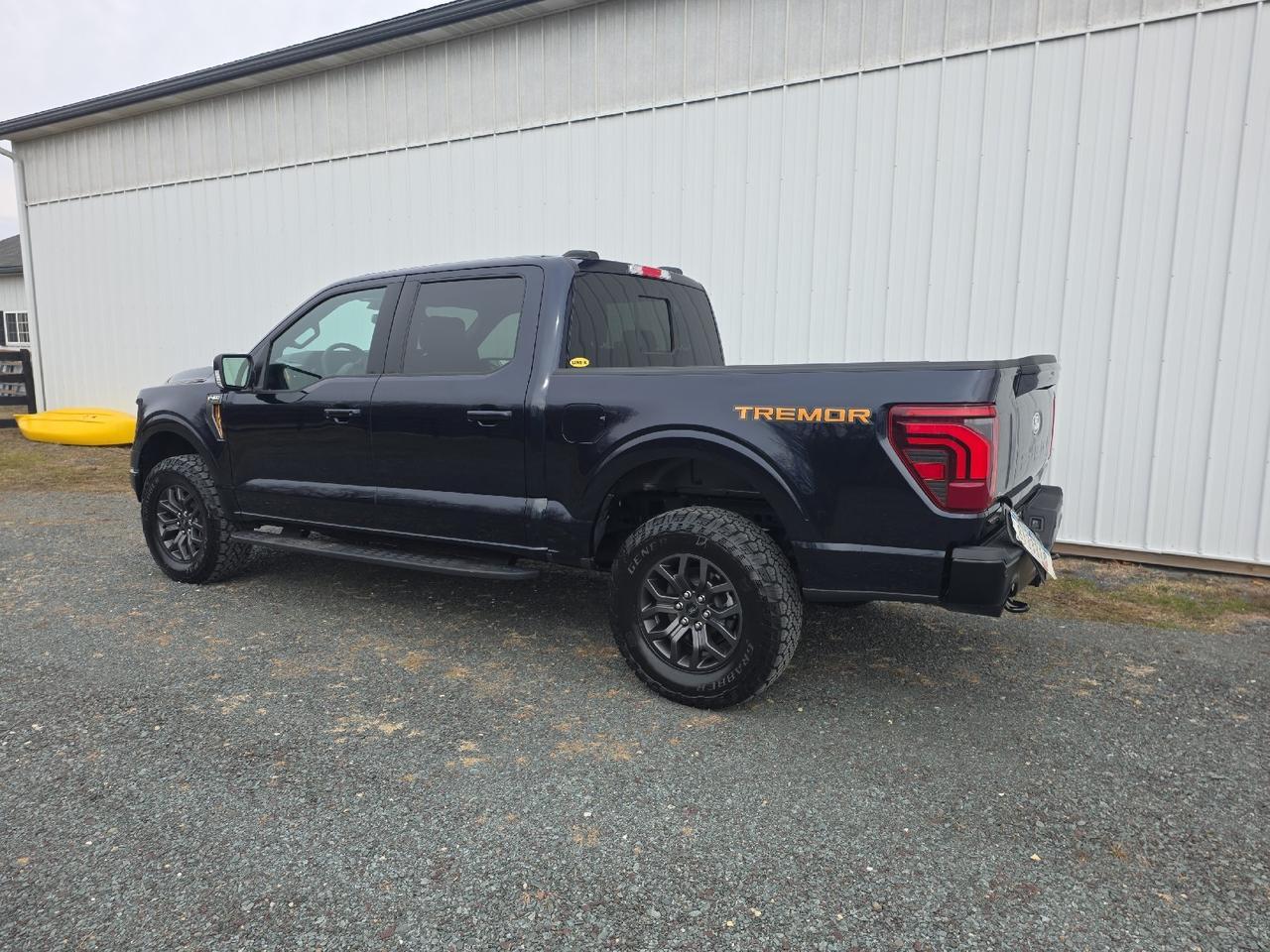 2025 Ford F-150 Tremor Sand Lake NY