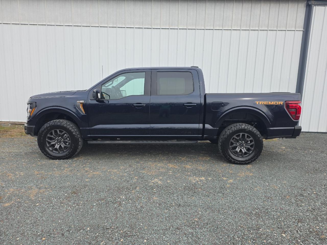 2025 Ford F-150 Tremor Sand Lake NY