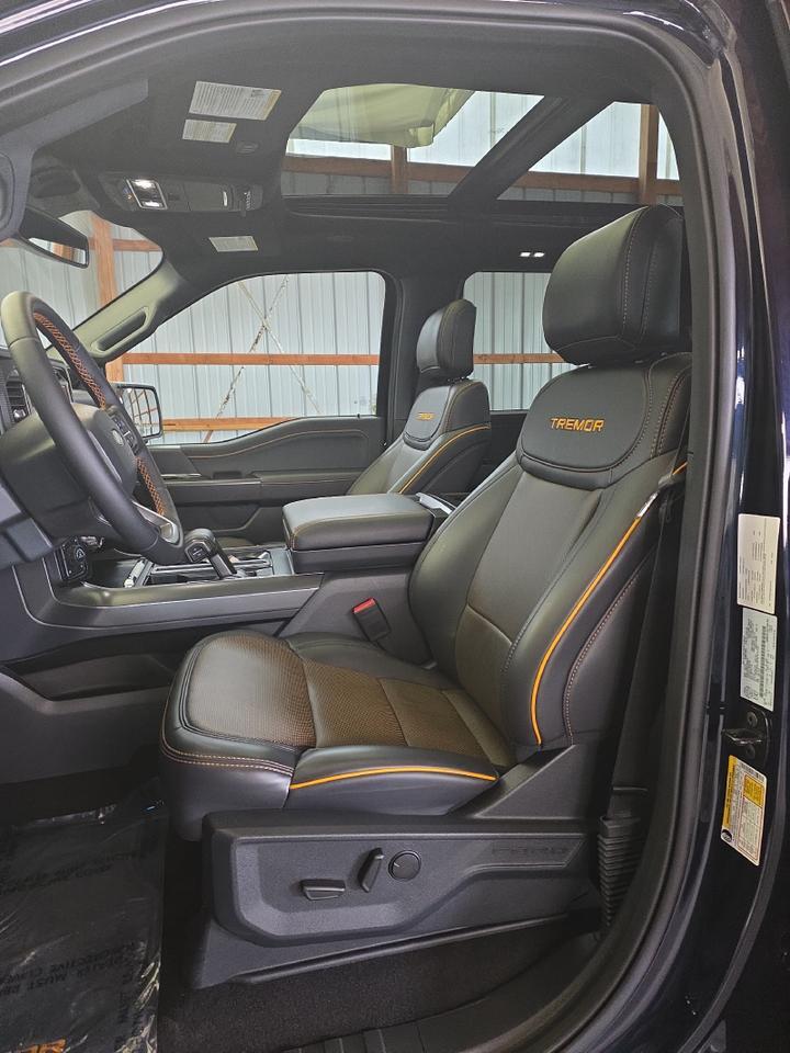 2025 Ford F-150 Tremor Sand Lake NY