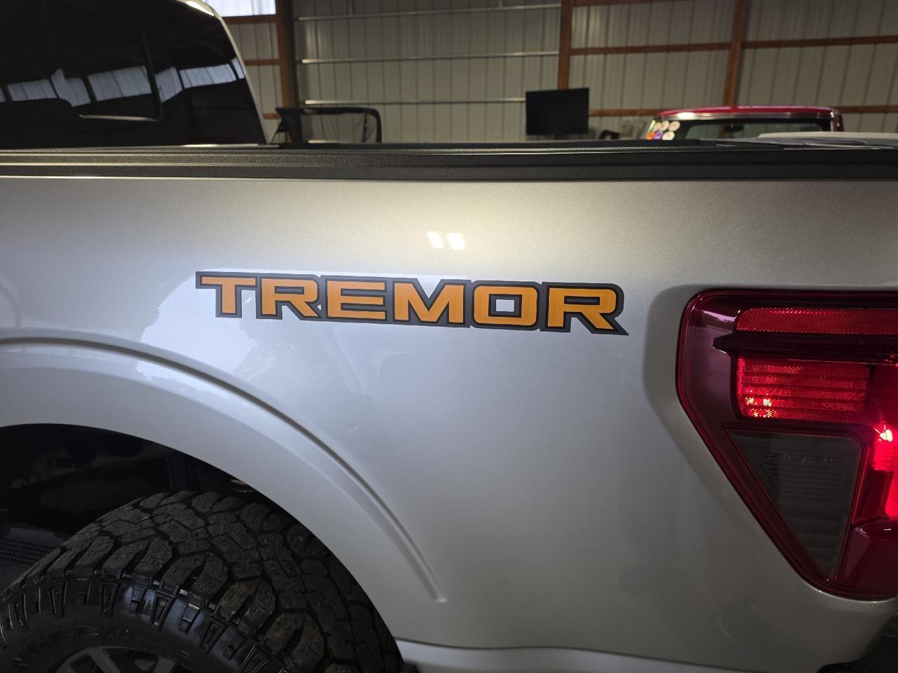 2025 Ford F-150 Tremor Sand Lake NY