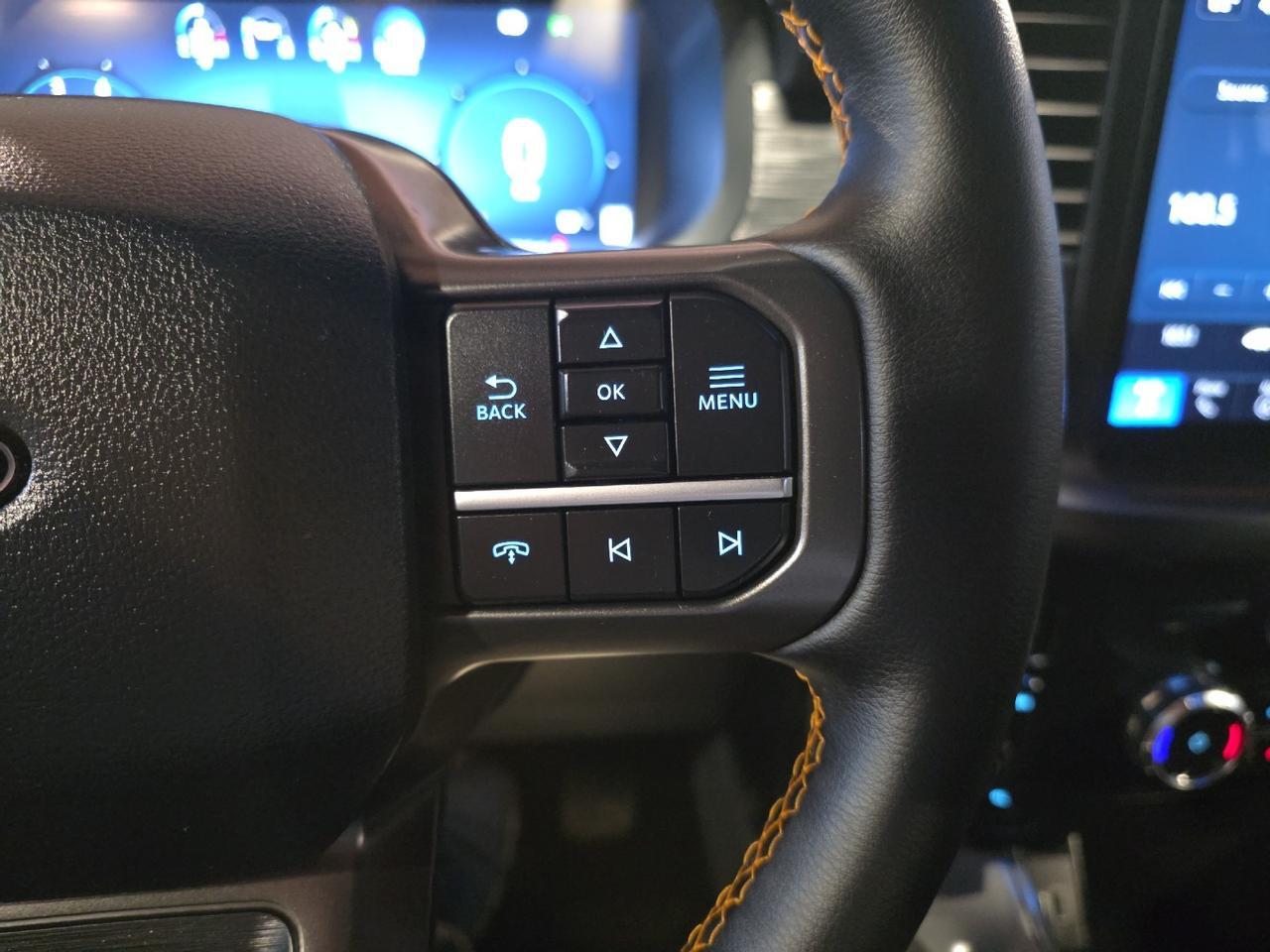 2025 Ford F-150 Tremor Sand Lake NY