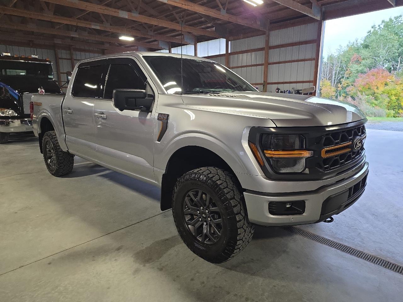 2025 Ford F-150 Tremor Sand Lake NY