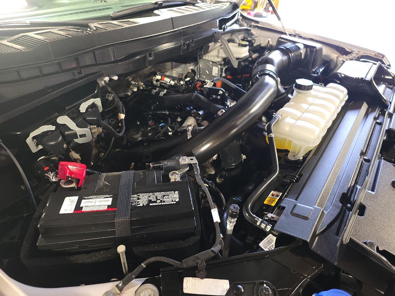 2025 Ford F-150 Tremor Sand Lake NY