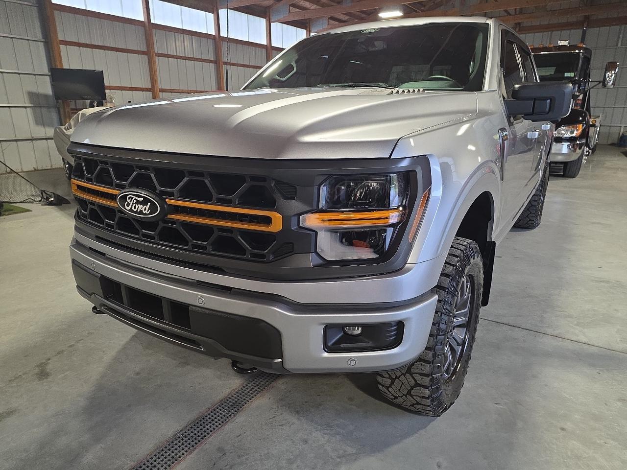 2025 Ford F-150 Tremor Sand Lake NY