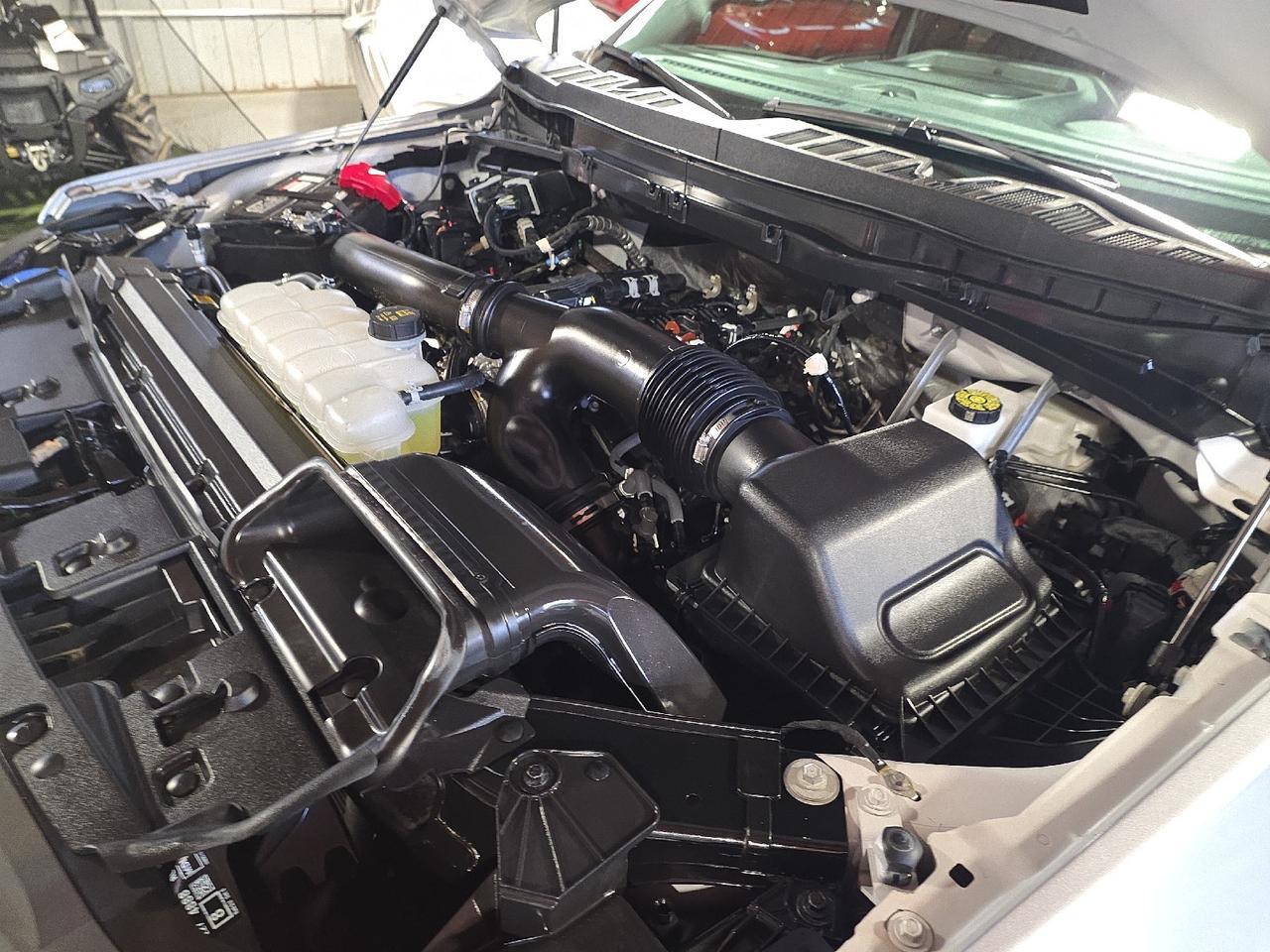2025 Ford F-150 Tremor Sand Lake NY