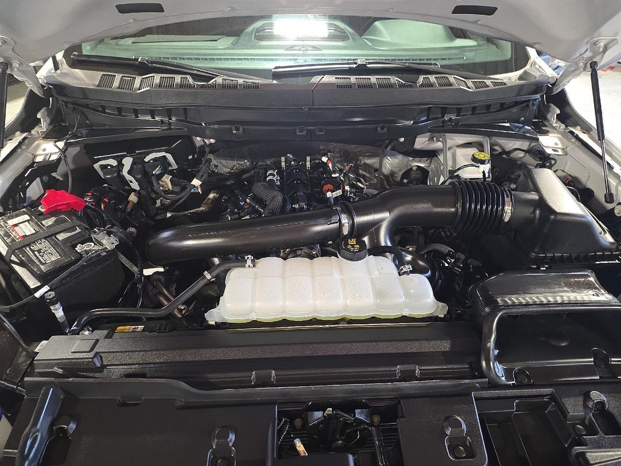 2025 Ford F-150 Tremor Sand Lake NY