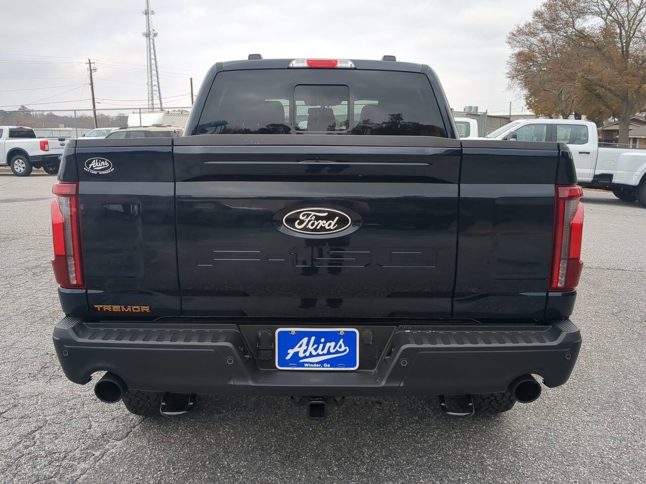 2025 Ford F-150 Tremor Winder GA