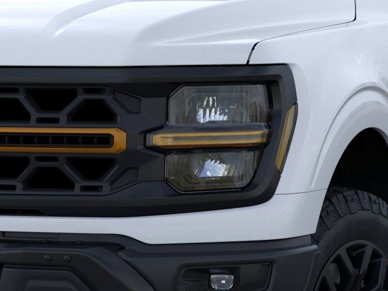 2025 Ford F-150 Tremor Winder GA