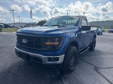 2025_Ford_F-150_XL_  TX